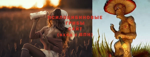 прущая мука Бугульма