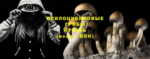 амф Бородино