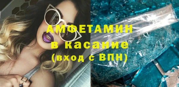 сатива Балахна