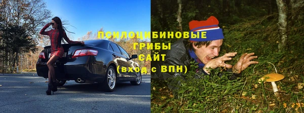 apvp Аркадак